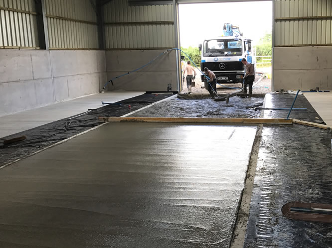 Large Shed Base - Nottingham 1 Large Shed Base - Nottingham 1