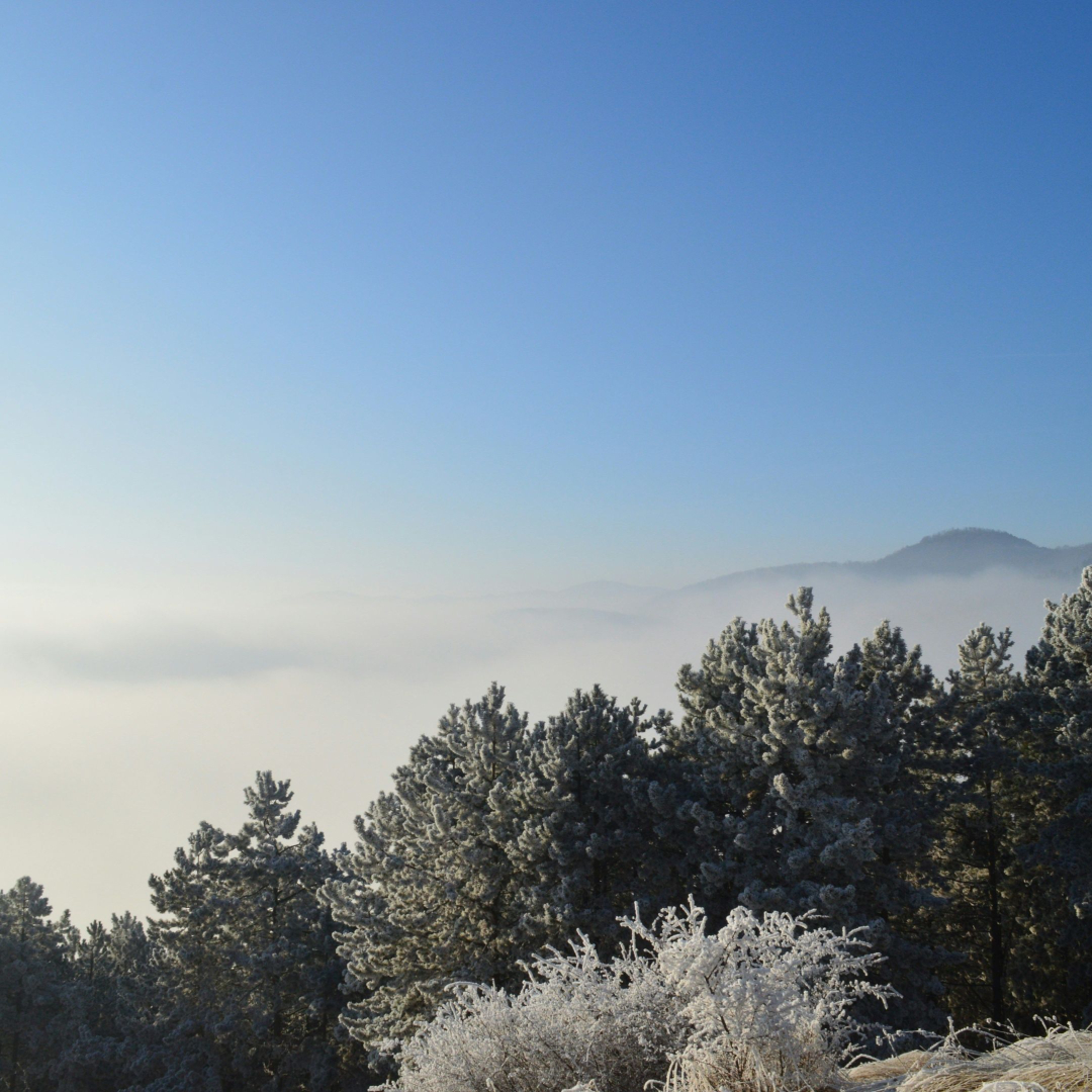 Concrete In Cold Weather – A Handy Guide